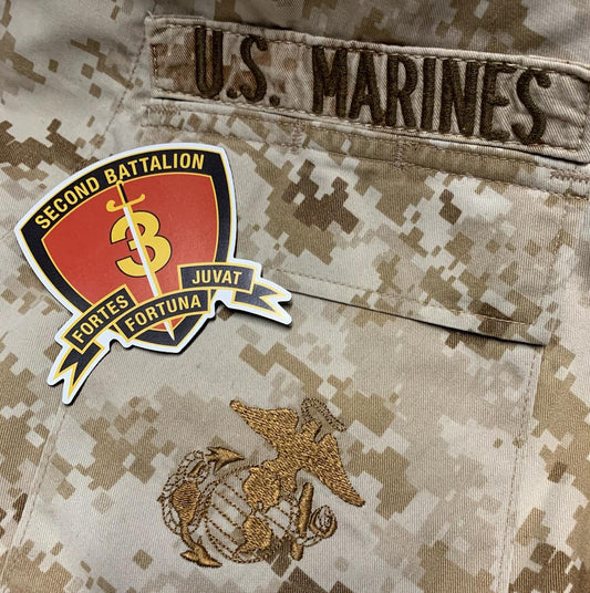 2/3, 2nd Battalion, 3rd Marines (Magnet)