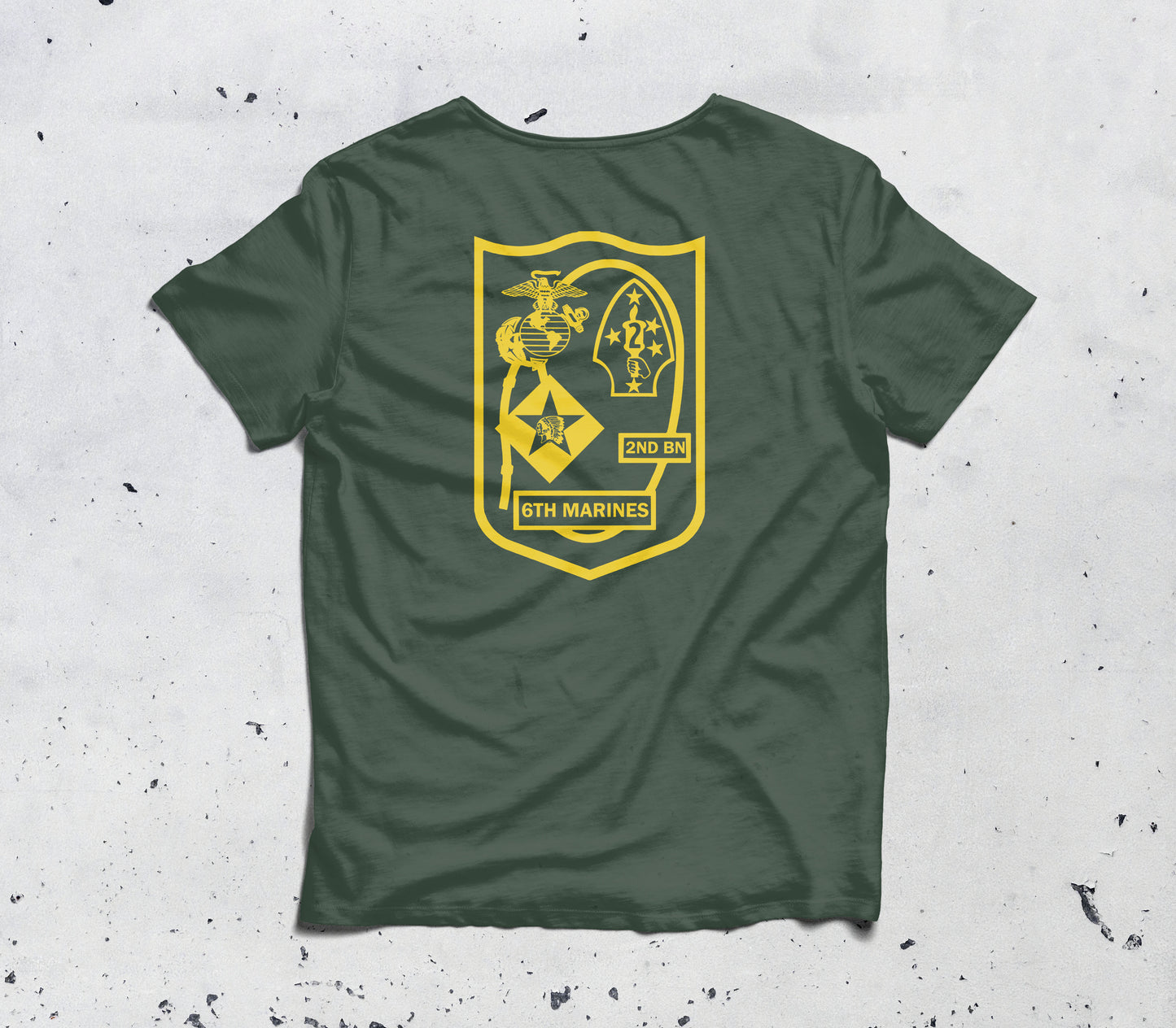 2nd Battalion, 6th Marine Regiment, 2nd Marine Division