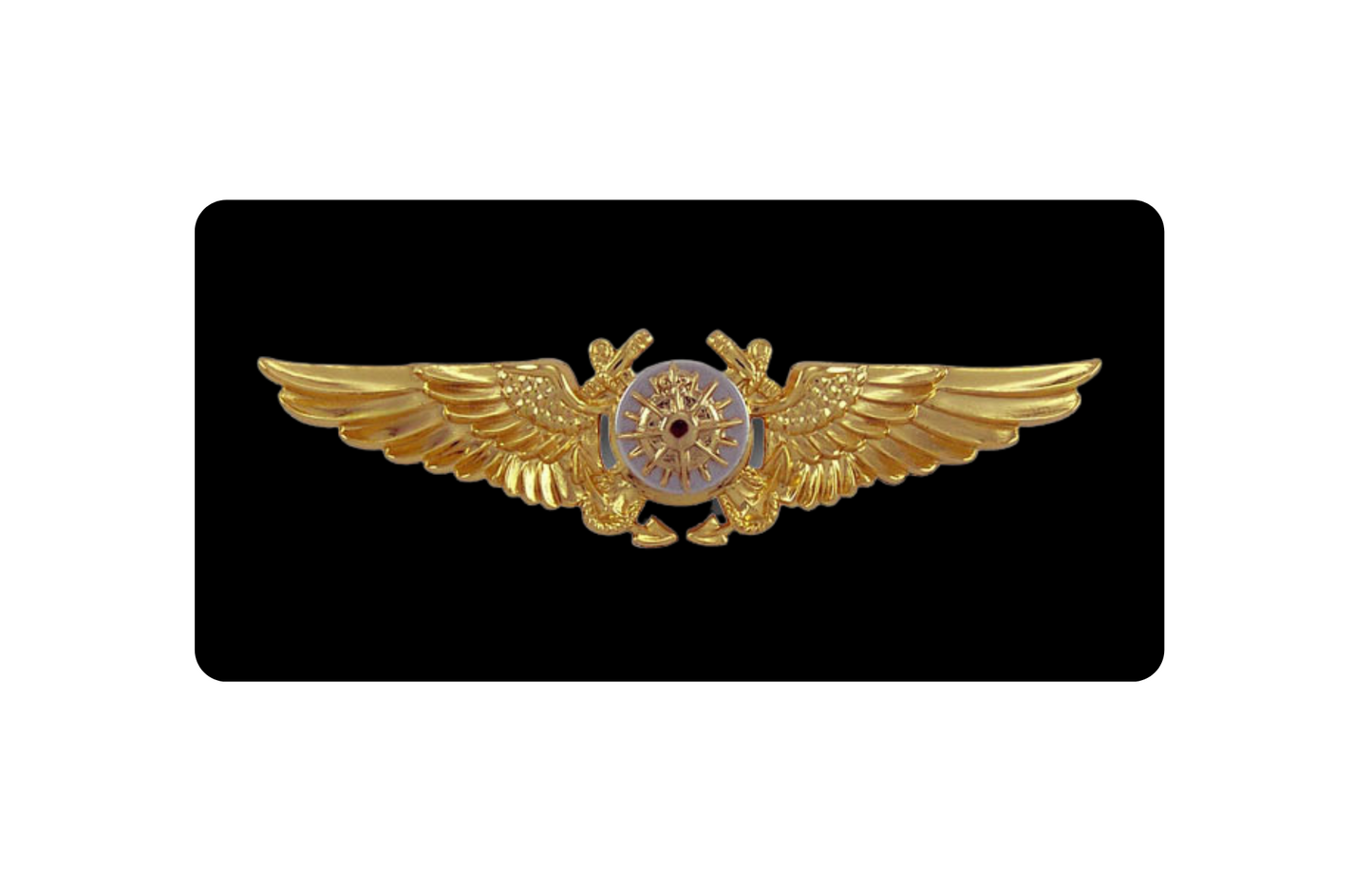 Custom Front License Plates