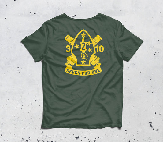 3rd Battalion 10th Marines, 2nd Marine Division