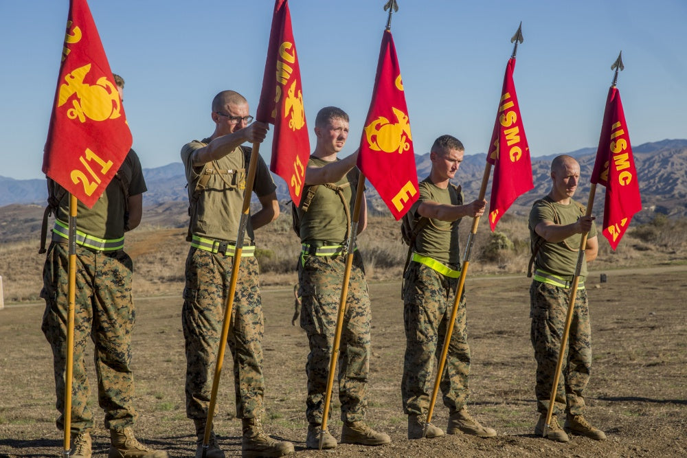 Guidon Flags