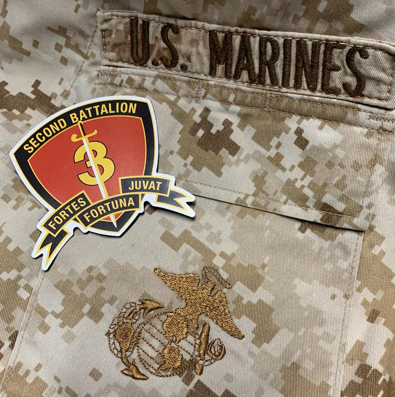 2/3,  2nd Battalion, 3rd Marines (Magnet)