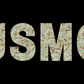Afghanistan Veteran