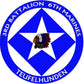 3rd Battalion 6th Marines Pin